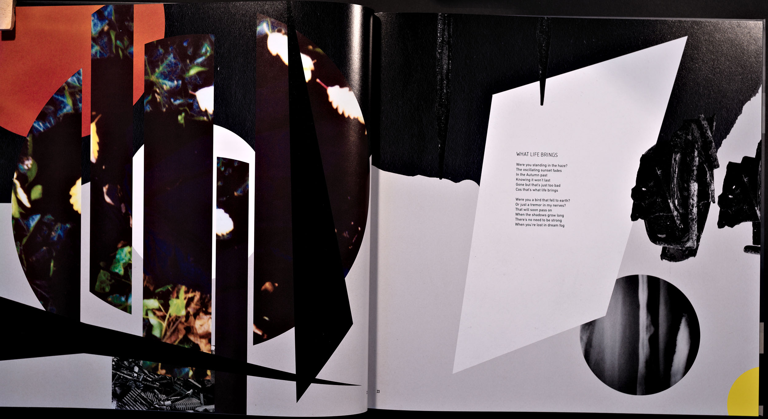 Steven Wilson The Harmony Codex Deluxe Edition